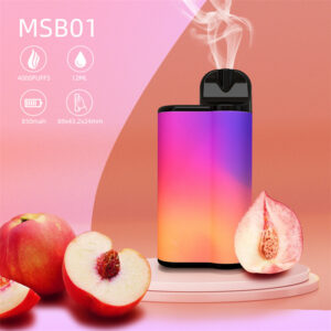 Myshine MSB01 4000 Puffs Disposable Vape Wholesale Peach Ice Flavors