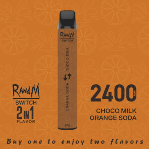 RandM Switch RM 2in1 2400 Puffs Disposable Vape Wholesale Orange Soda Melon Ice