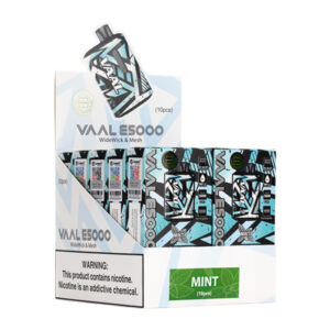 VAAL E5000 Puffs Disposable Vape Wholesale Mint Flavors