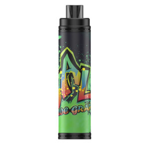 VAAL Max 4500 Puffs Disposable Vape Wholesale Aloe Grape