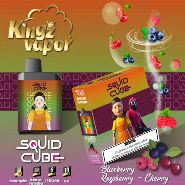 SQUID CUBE 4000 Puffs Disposable Vape Wholesale Blueberry Raspberry Cheery