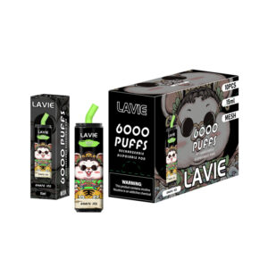 LAVIE 6000 Puffs Disposable Vape Wholesale Grape Ice Pakage