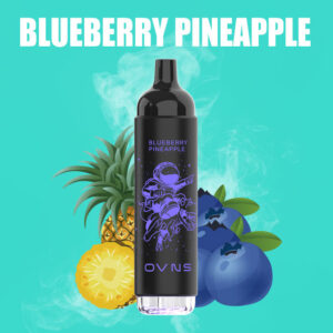 OVNS 07 2500 Puffs Disposable Vape Wholesale Blueberry Pineapple