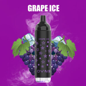 OVNS 07 2500 Puffs Disposable Vape Wholesale Grape Ice