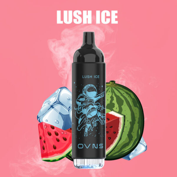 OVNS 07 2500 Puffs Disposable Vape Wholesale Lush Ice