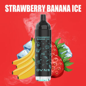 OVNS 07 2500 Puffs Disposable Vape Wholesale Strawberry Banana Ice