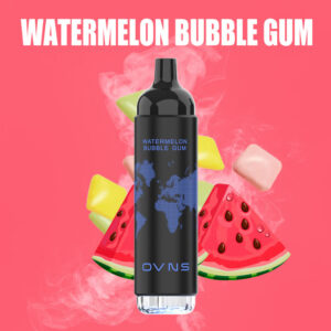 OVNS 07 2500 Puffs Disposable Vape Wholesale Watermelon Bubble Gum