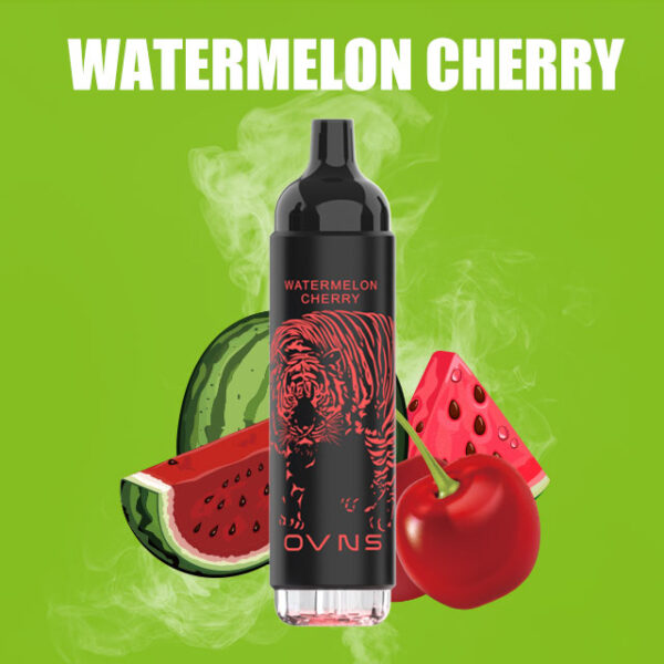 OVNS 07 2500 Puffs Disposable Vape Wholesale Watermelon Cherry