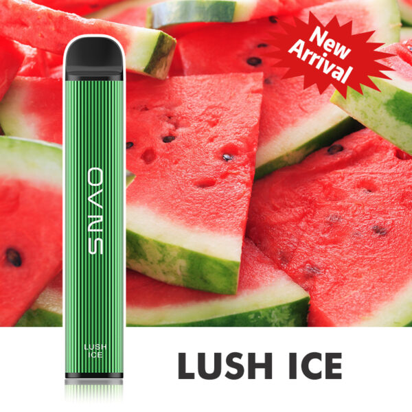 OVNS 08 2500 Puffs Disposable Vape Wholesale Lush Ice