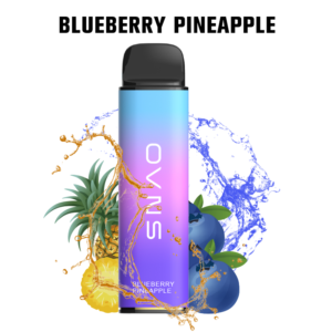 OVNS 15 6000 puffs Disposable Vape Wholesale Blueberry Pineapple