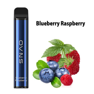 OVNS XL 1500 Puffs Disposable Vape Wholesale Blueberry Raspberry