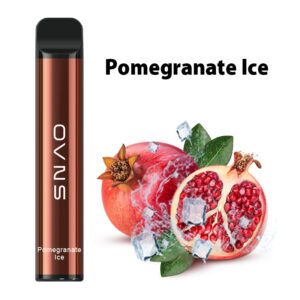 OVNS XL 1500 Puffs Disposable Vape Wholesale Pomegranate Ice