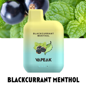 VAPEAK GRAND 5000 Puffs Disposable Vape Wholesale Blackcurrant Menthol