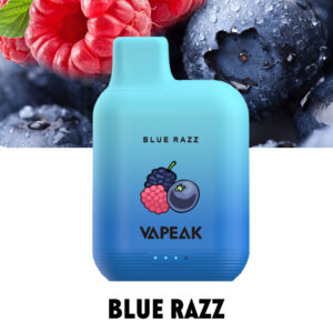 VAPEAK GRAND 5000 Puffs Disposable Vape Wholesale Blue Razz