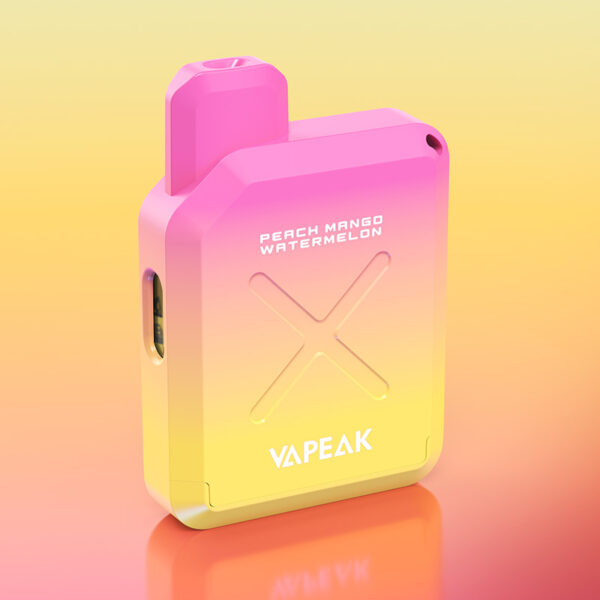 VAPEAK VISION 500 Puffs Disposable Vape Wholesale Peach Mango Watermelon Flavors