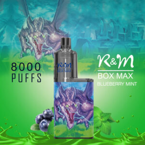 RM BOX MAX 8000 Puffs Disposable Vape Wholesale Blueberry Mint