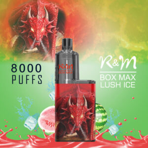 RM BOX MAX 8000 Puffs Disposable Vape Wholesale Lush Ice