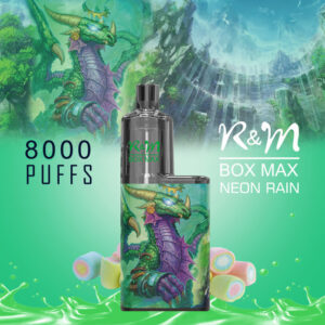 RM BOX MAX 8000 Puffs Disposable Vape Wholesale Neon Rain