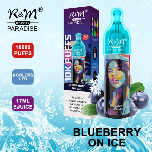 RM PARADISE 10K Puffs Disposable Vape Wholesale Blueberry On Ice