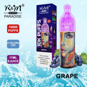 RM PARADISE 10K Puffs Disposable Vape Wholesale Grape Ice