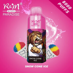 RM PARADISE 8000 Puffs Disposable Vape Wholesale Snow Cone Ice