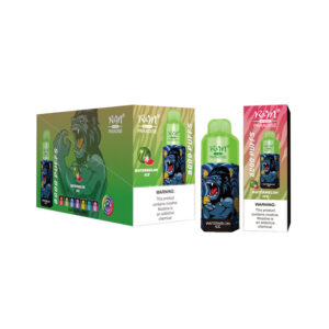 RM PARADISE 8000 Puffs Disposable Vape Wholesale Watermelon Ice Package