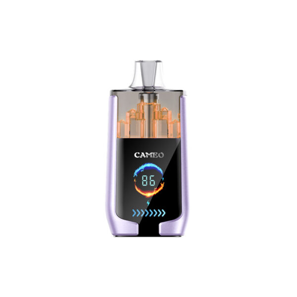 LAVIE CAMEO 30000 Puffs Disposable Vape Wholesale Grape Ice