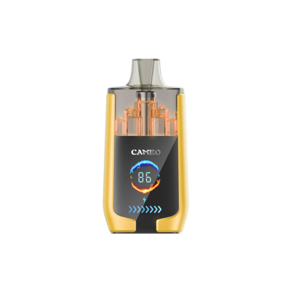 LAVIE CAMEO 30000 Puffs Disposable Vape Wholesale Mango Ice