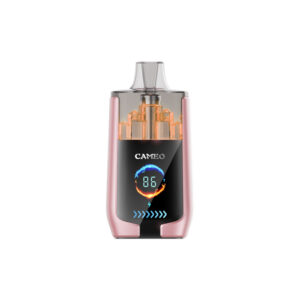 LAVIE CAMEO 30000 Puffs Disposable Vape Wholesale Tropical Fruit