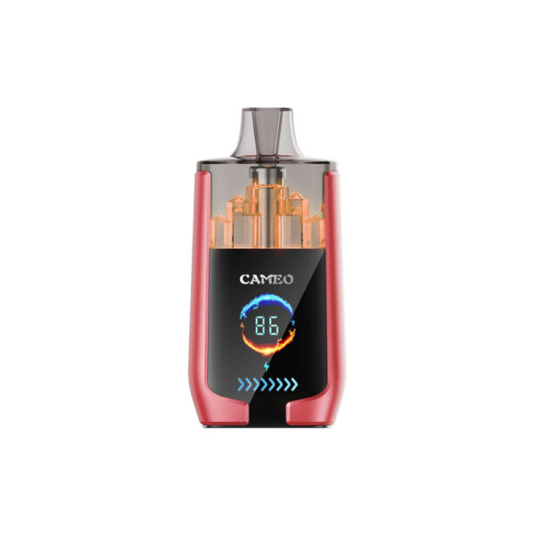 LAVIE CAMEO 30000 Puffs Disposable Vape Wholesale Watermelon Ice