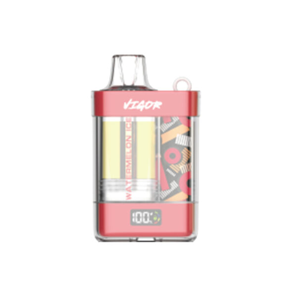 LAVIE VIGOR 15000 Puffs Disposable Vape Wholesale Watermelon Ice